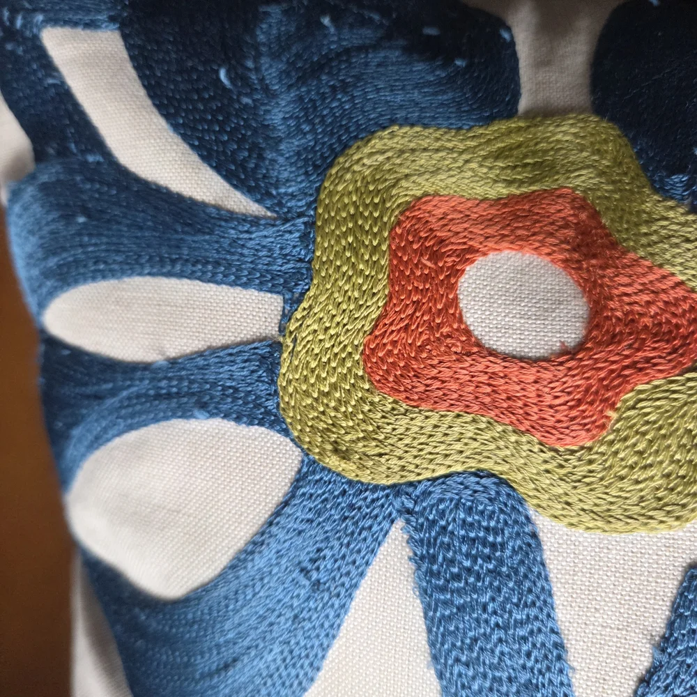 Crate&Barrel Accent Pillow